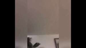 Big Booty ugly Bitch Mix video