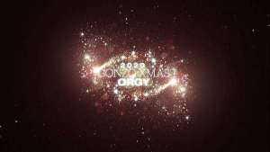 Gonzo.com XXXMas 2020 Party – 10 Versus 10 Anal Orgy – Drinks Included! SZ2590