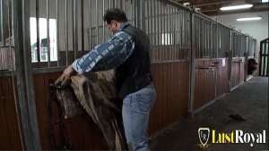 Stable boy bangs sexy brunette babe