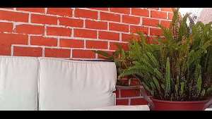 Terapia de parejas termina en trío con psicóloga AQP (Video Gratuito)