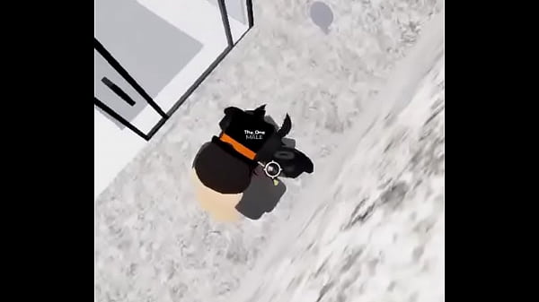 This furry wanted to fuck in silence