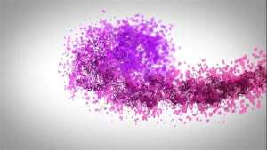 MY BLOCKED YT VIDEO – G-SPOT VIBRATOR