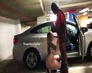 Public Blowjobs Compilation