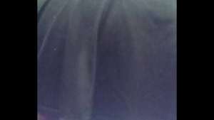 Así quedé después de dos horitas del dildo en el culo y una cogida