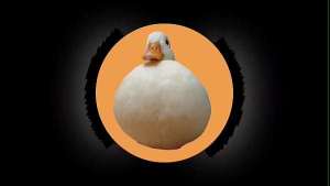 HMV perras cojidas con final feliz