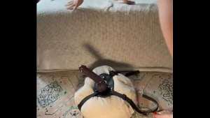 Verryberry – update #2 – 2 – Sep 17, 2025