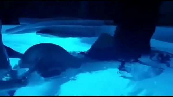 Giselle Montes folla en la piscina parte 2