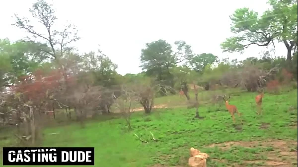 Big Booty Ebony Babe Bent Over & Pounded POV Doggystyle By BWC American