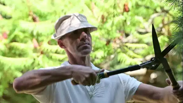 Bikini Babes Lia Lin And Vanessa Alessia Seduce The Gardener Into A Steamy Threesome In The Sun GP3299