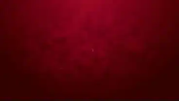 Lexistar – First rough DP 2on1 with piss