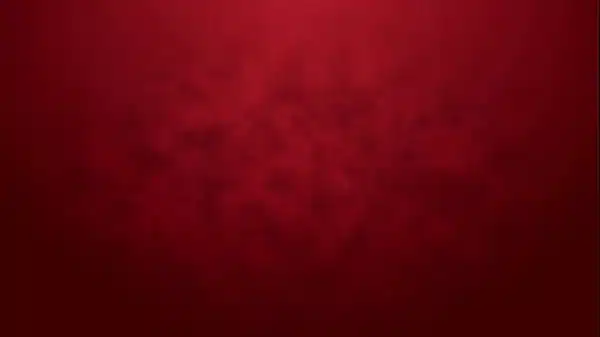 NEWBIE Lexistar goes 1on1 Rough anal with piss, no pussy