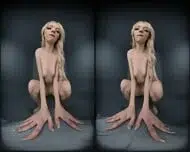 C T Drt Frt C0nverted