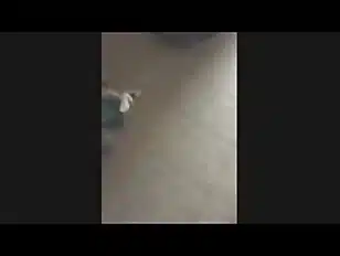 cumshot xxx  girl gives a hot wake up blowjob by sucking the tip milf mature big ass