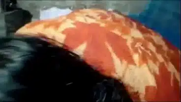 Full Injoy Desi Xxx Video Her Hasband