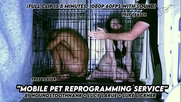 Mobile Pet Reprogramming Service