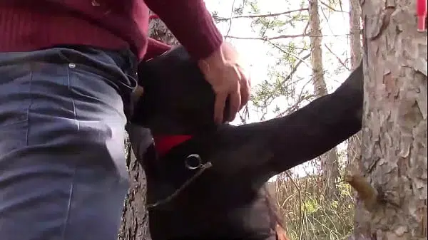 Preview – Milf compilation bondage hood facefuck