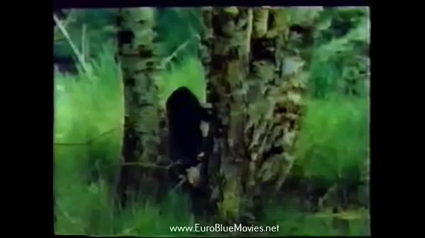 Classic French Vintage porn · aka. Super Bestia