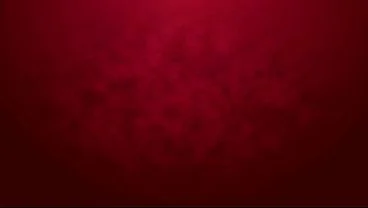 Newbie Rosa Josefin goes 1on1 rough only anal