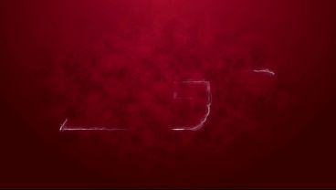 First DVP and DAP for Sofiya Ershova 3on1 Rough