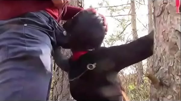 Laura on Hee step sister 2021 compilation of mouth fuck and cum swallow.