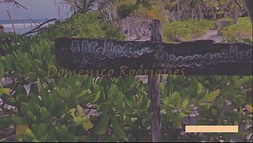 LUST ON THE BEACH 1-2 REMIXED 10M SHEER