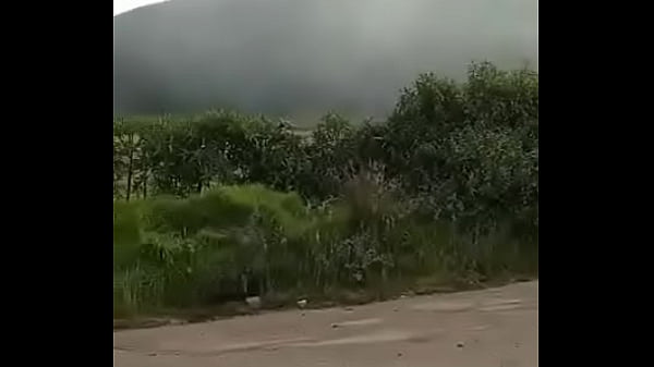 Conductor que contrato mi papa me hace chupar su verga en carretera solitaria